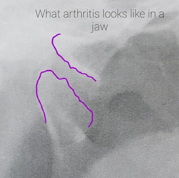 Meet your Posher, Krystina - Picture 2 of 3